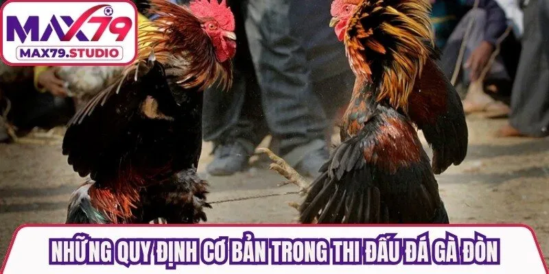 Những quy định cơ bản trong thi đấu đá gà đòn